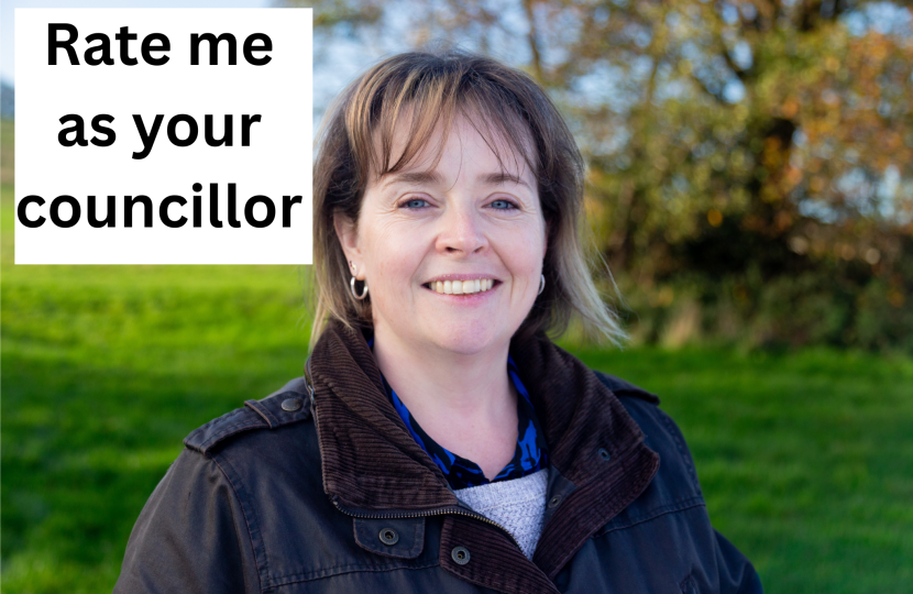 Rate me as your councillor