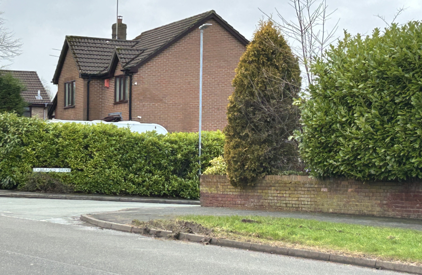 Further damage to Lysander Road verges