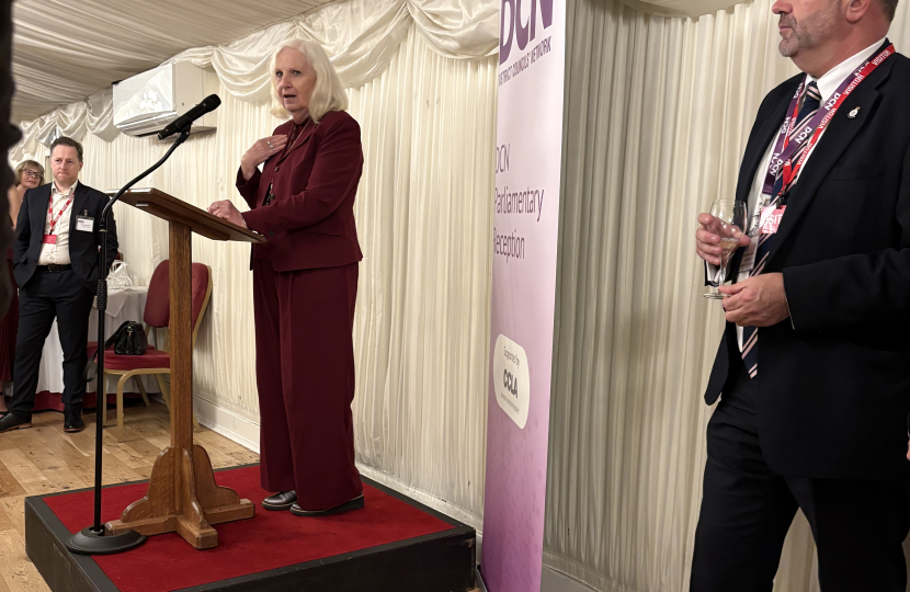 Baroness Taylor, Lords Minister, speaking, watched by incoming DCN chairman Richard Wright