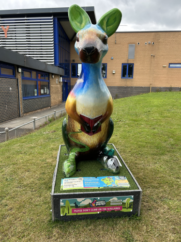 Wallaby in Blythe Bridge