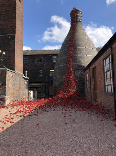 Poppies : Weeping Window at Middleport Pottery